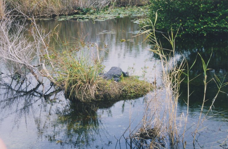 006-Everglades National Park.jpg